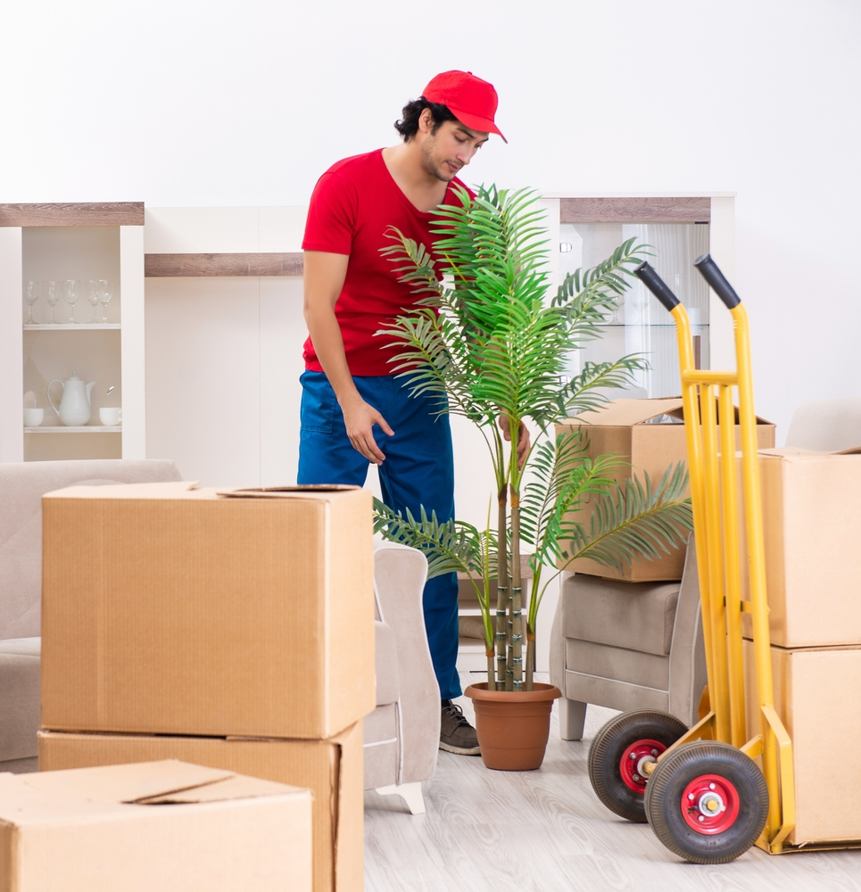 Porter Logistics Packers and Movers Noida